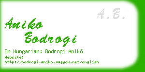 aniko bodrogi business card
